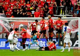 3377体育登陆-登杆前电杆检查的规定